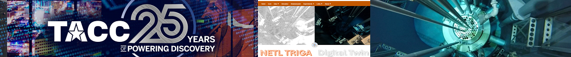 NETL TRIGA Digital Twin
