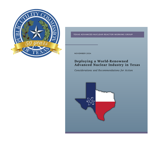 Public Utility Commission of Texas (PUCT) — state electricity regulator